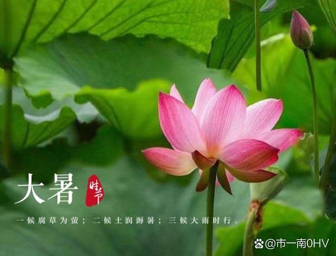 大暑是什么