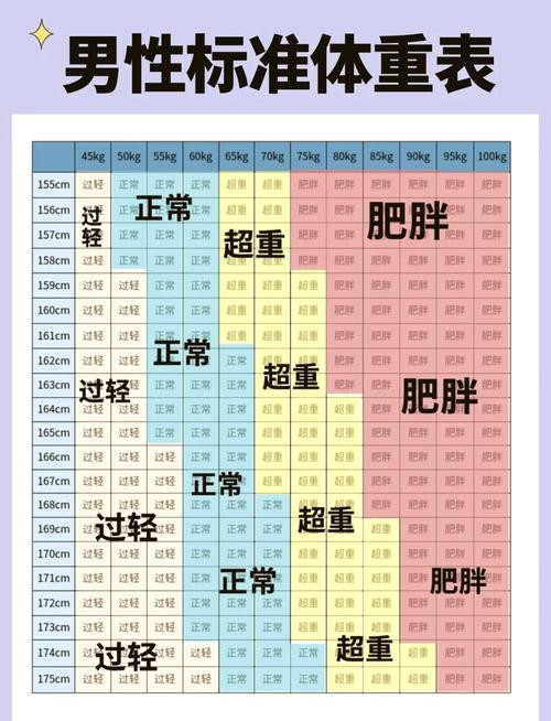 减肥中bmi是什么意思