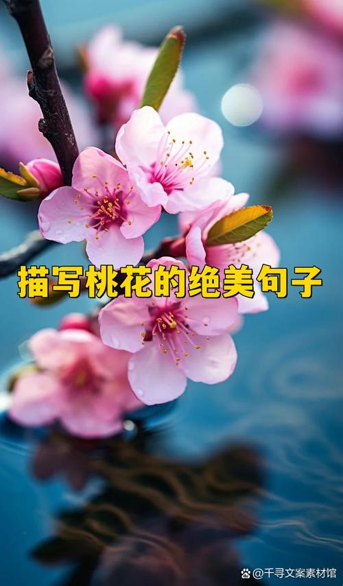 粉色的桃花像什么