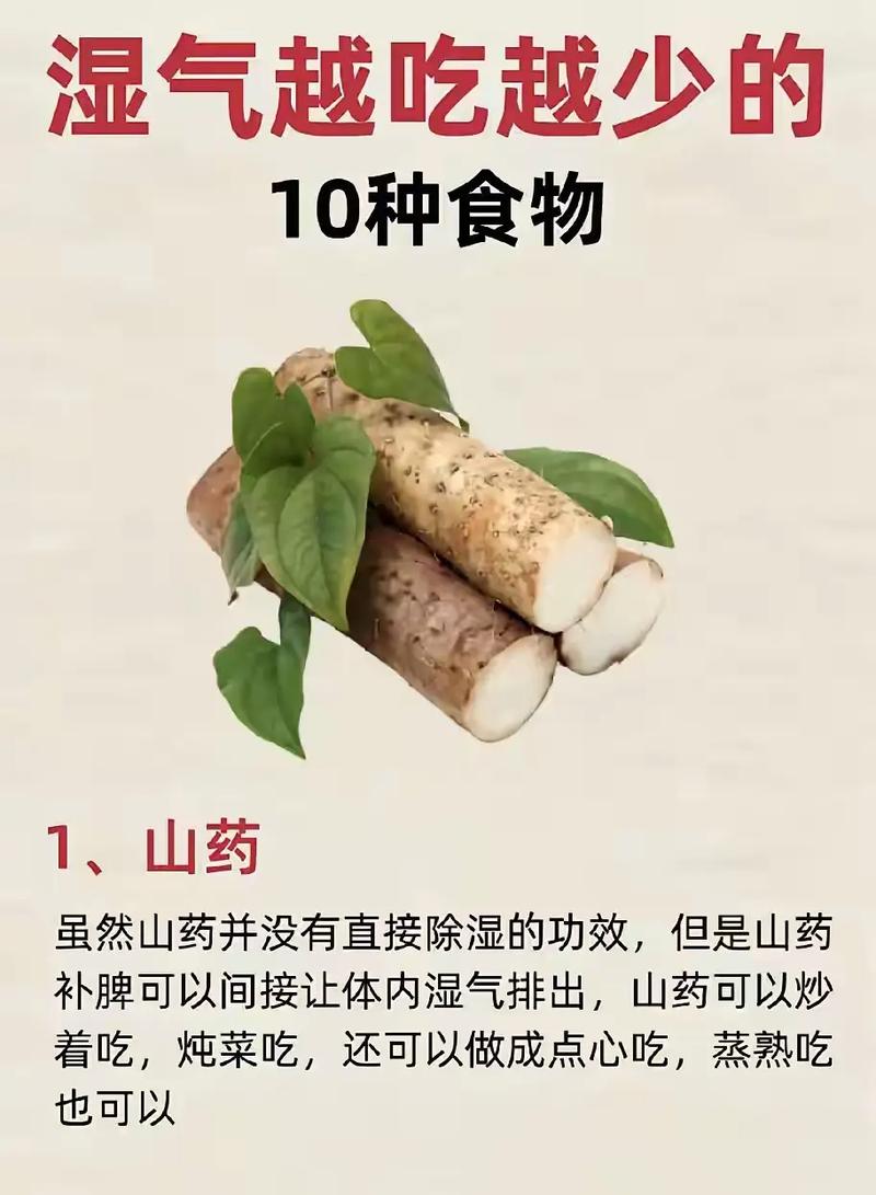 什么食物去湿气减肥最好最快