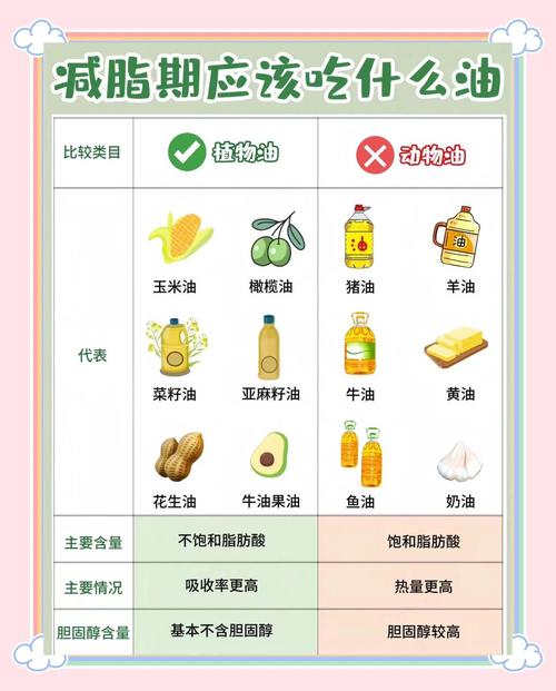 吃什么油适合减肥吗