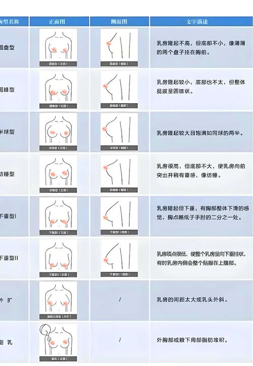 什么是胸变
