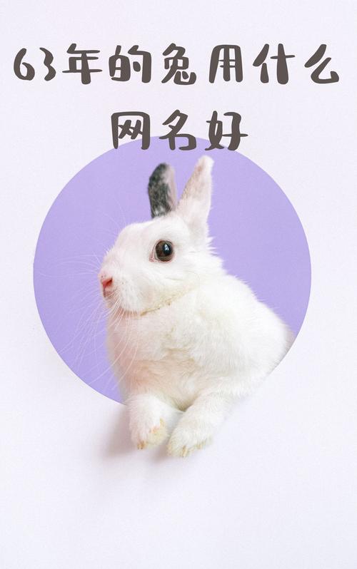什么什么轻盈
