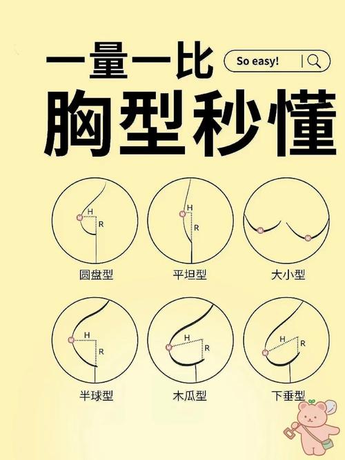 什么样的胸型好看