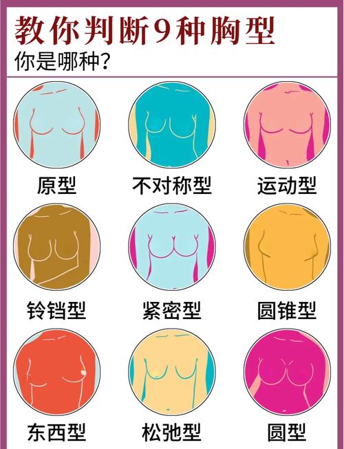 什么样的胸型好看