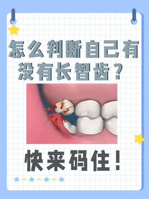什么情况会长智齿