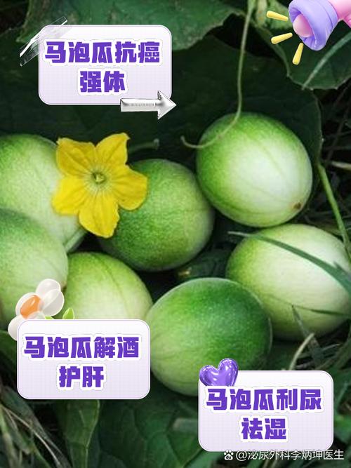 什么果可以泡水喝