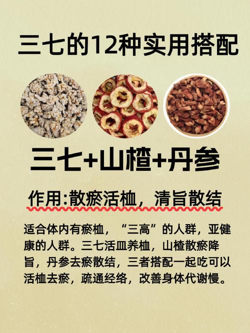 三七可以治什么病
