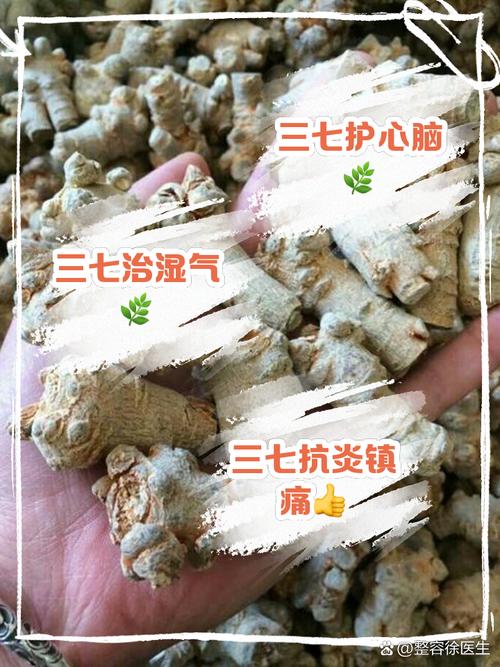 三七可以治什么病
