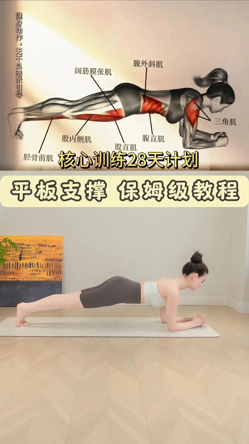 平板支撑是什么动作