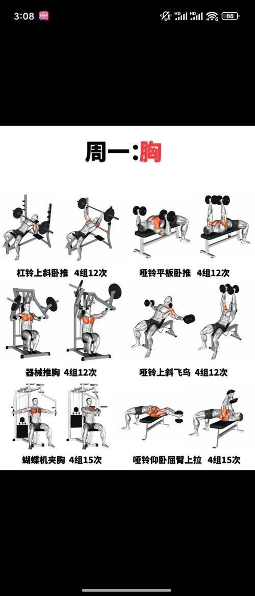 什么动作可以练胸肌