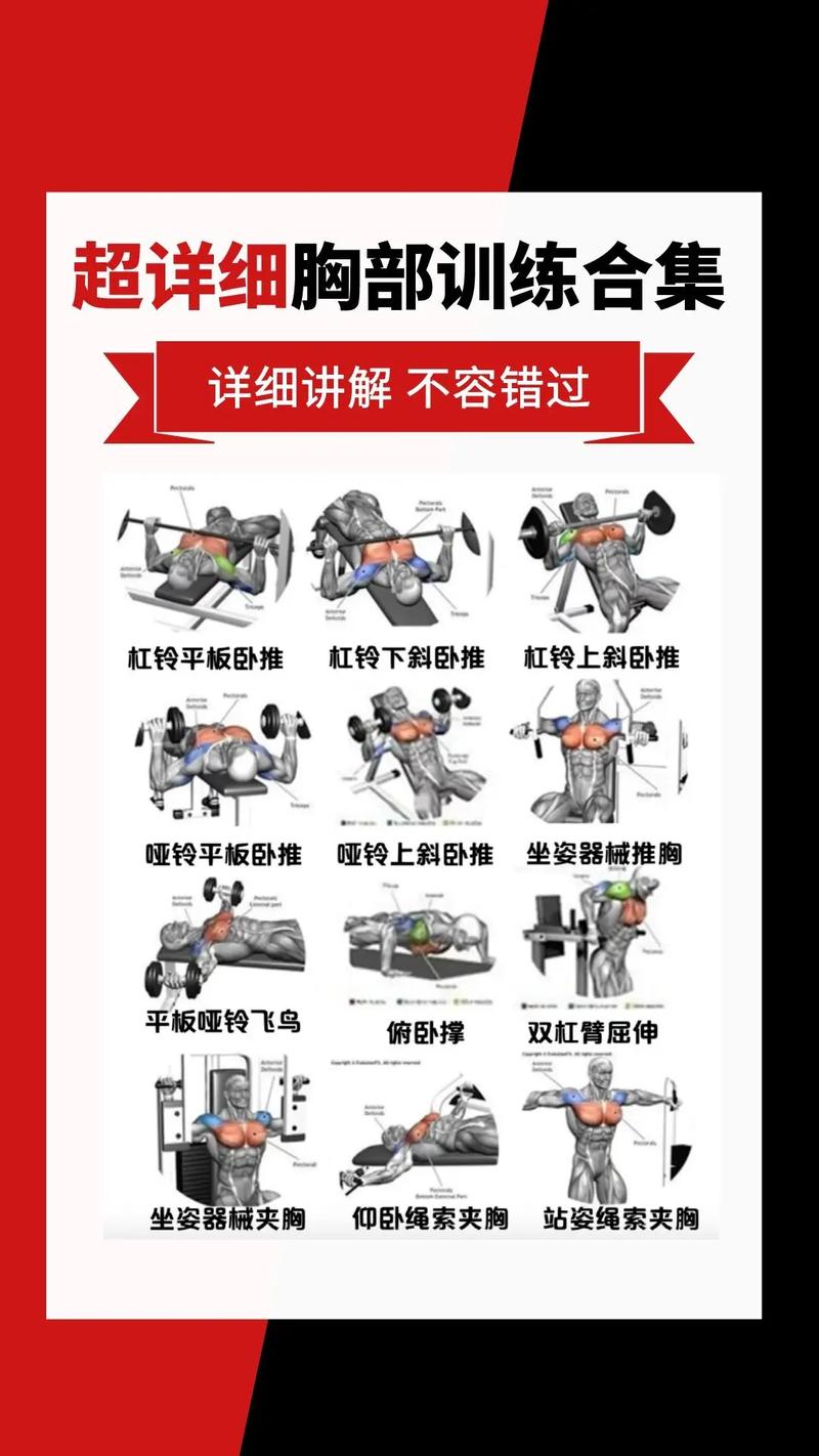 什么动作可以练胸肌