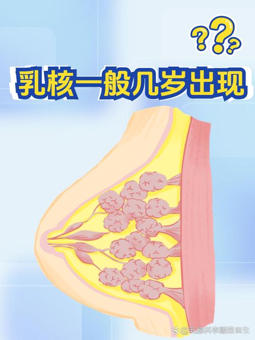 乳珠是什么