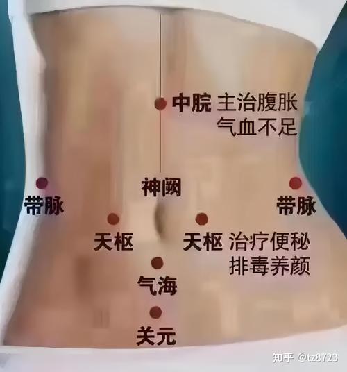 拍打肚子什么位置减肥