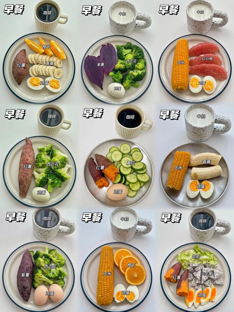 午餐吃什么健康减肥食谱