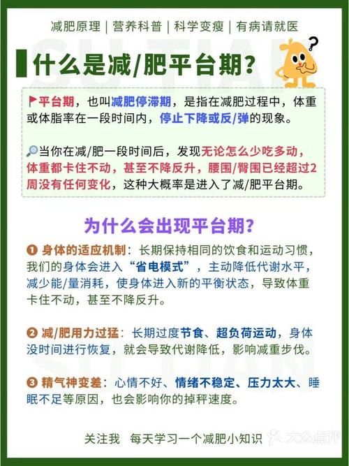 什么叫平台期