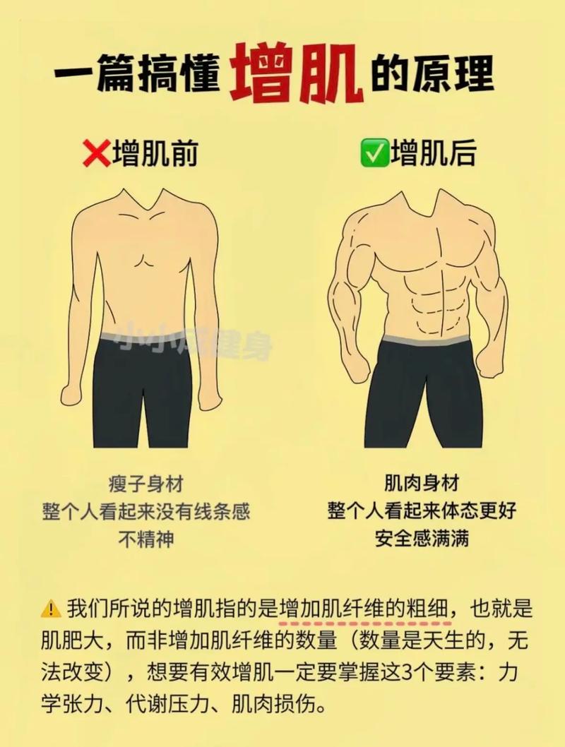 男人减肥的好办法是什么意思