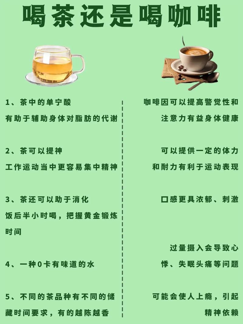 男人喝点什么茶能减肥吗