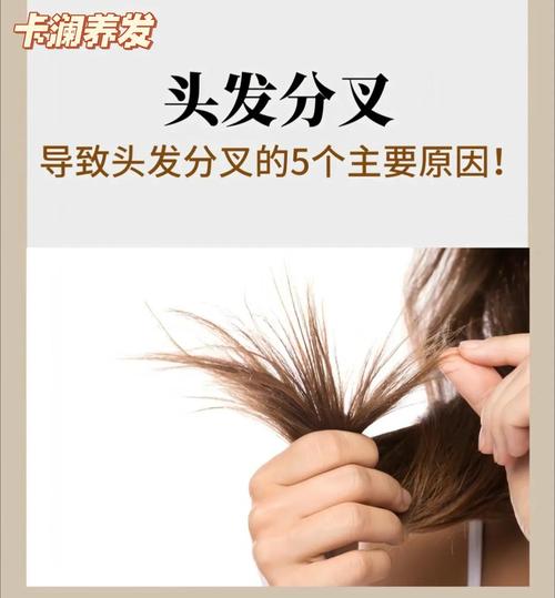 头发毛躁是什么原因