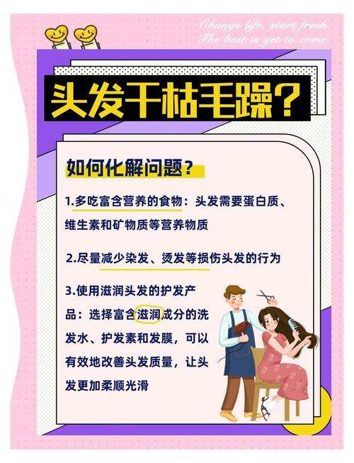 头发毛躁是什么原因