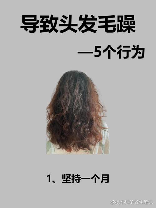 头发毛躁是什么原因