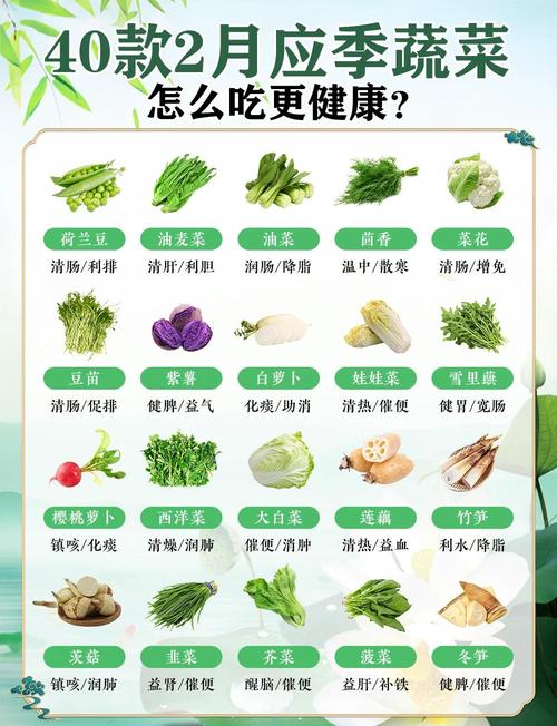 每天吃什么蔬菜减肥吗