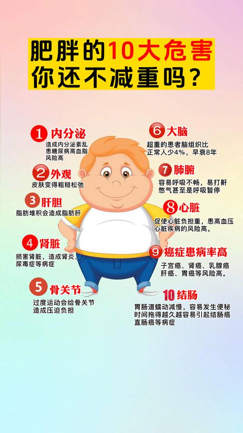 身体发胖是什么原因