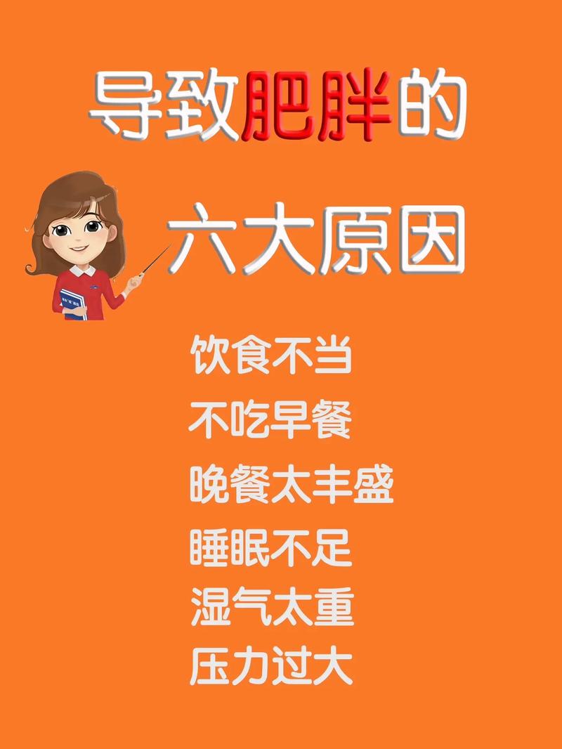 身体发胖是什么原因