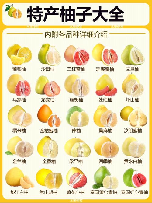 吃柚子有什么好处吗