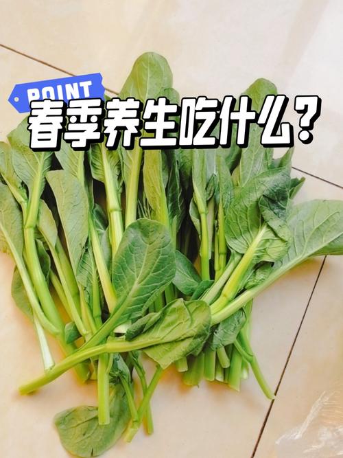 春天养生吃什么
