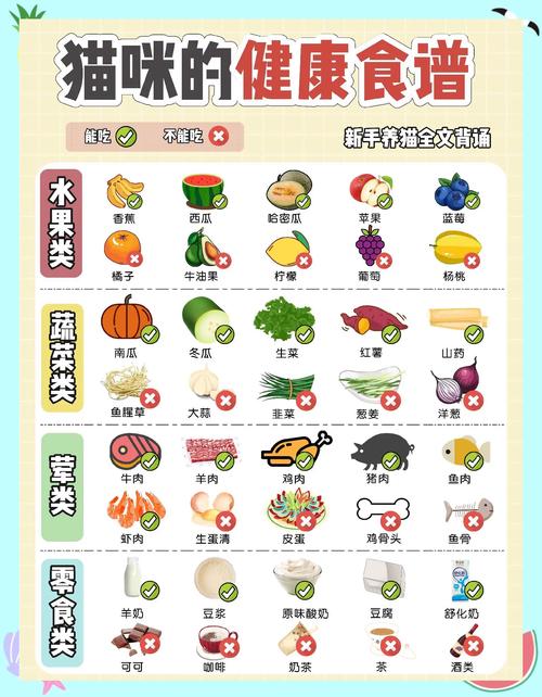 猫平时吃什么食物