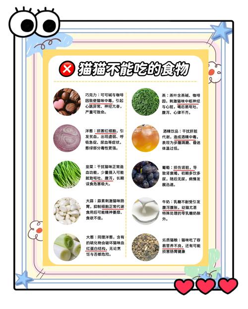 猫平时吃什么食物