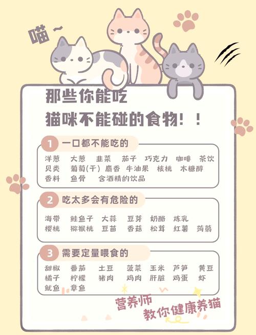 猫平时吃什么食物