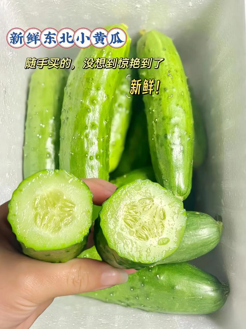小黄瓜tv最新地址