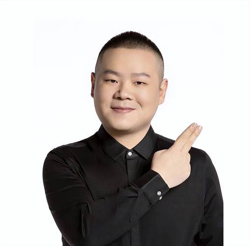 岳云鹏发型叫什么