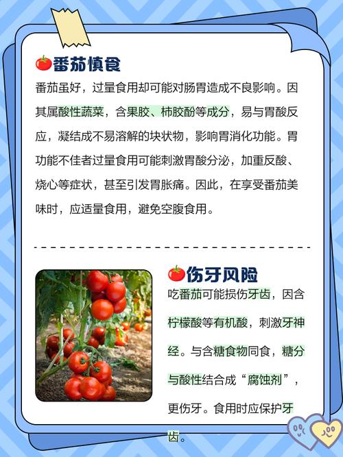 番茄为什么能减肥