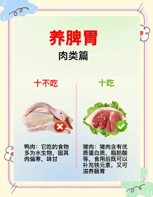 吃什么肉能减肥吗