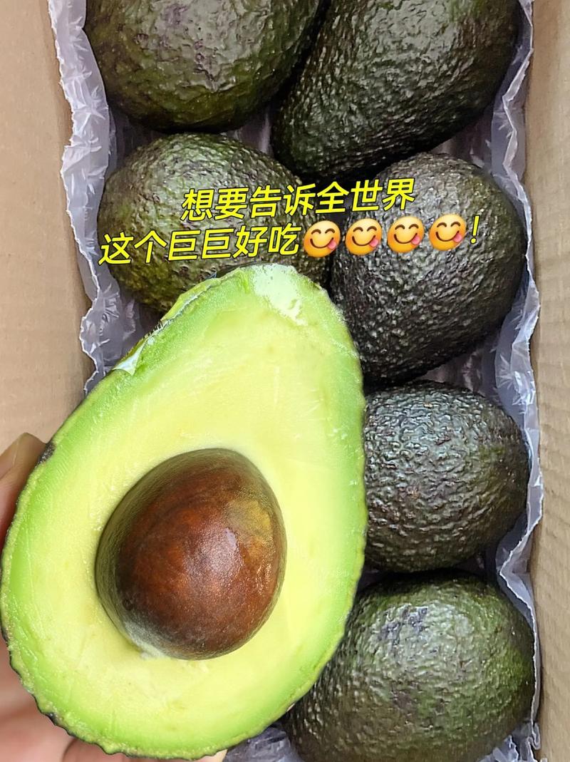 吃鳄梨为什么能减肥