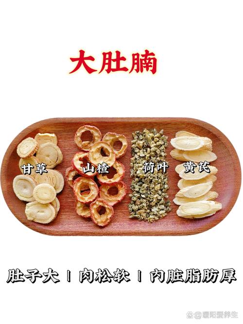 吃点什么中药减肥吗