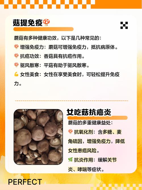 减肥为什么不能吃蘑菇