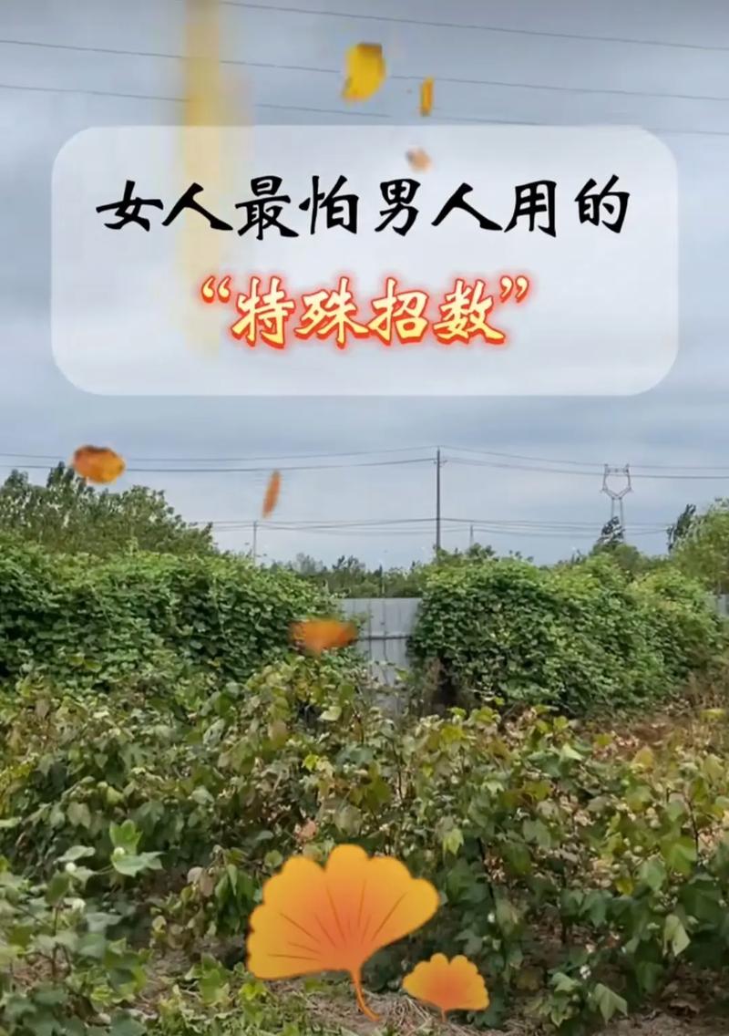 女人怕男人说明什么