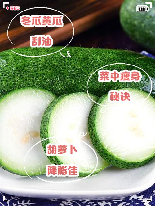 什么蔬菜最刮油