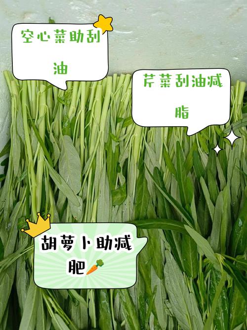 什么蔬菜最刮油