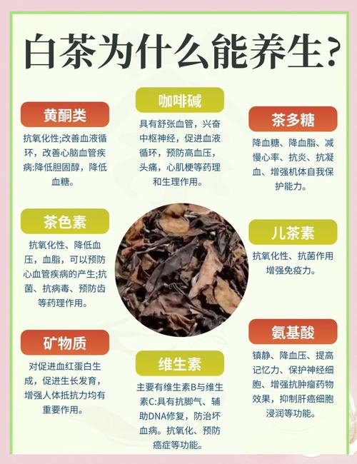 白茶什么人不能喝