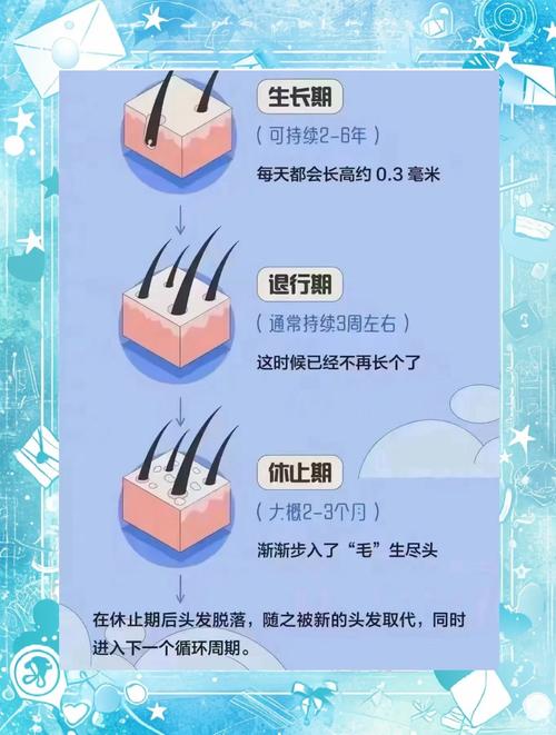 头发靠什么生长
