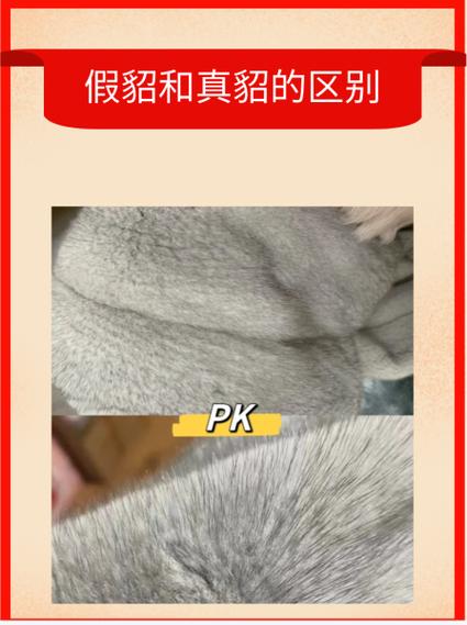 貂和水貂有什么区别