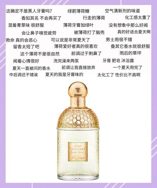 娇兰最新香水价格表