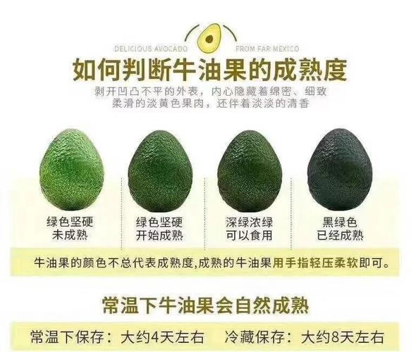 为什么说牛油果减肥