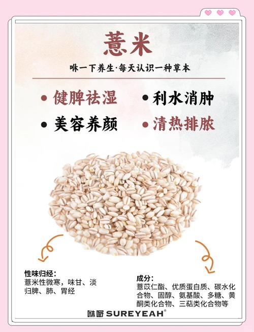 薏仁水有什么功效