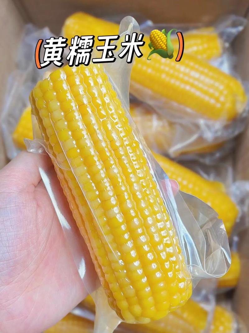 减肥可以吃什么粗粮